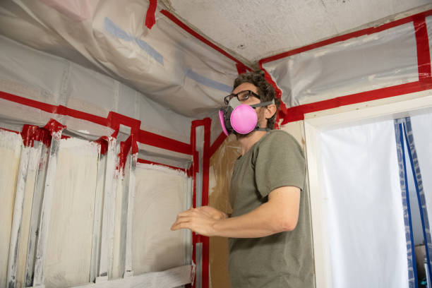 Dehumidification Services in Eucalyptus Hills, CA