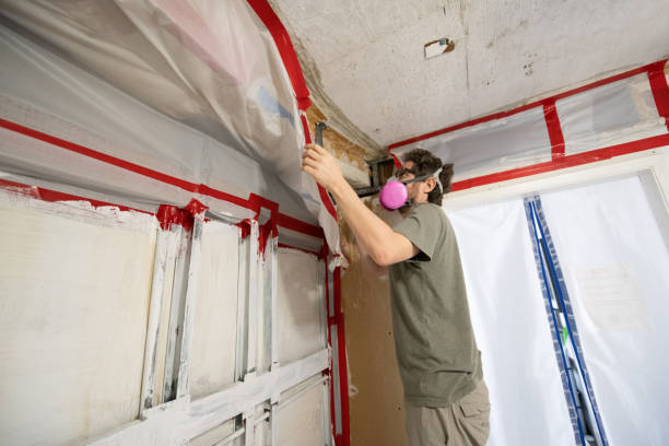 Best Mold Documentation for Insurance Claims  in Eulyptus Hills, CA