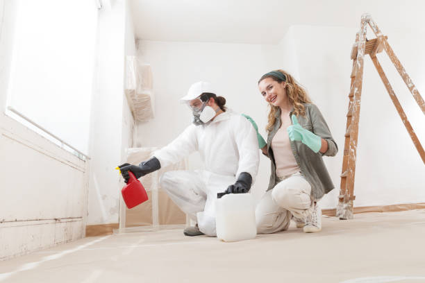 Best Basement Mold Removal  in Eulyptus Hills, CA